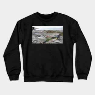 Resilience Crewneck Sweatshirt